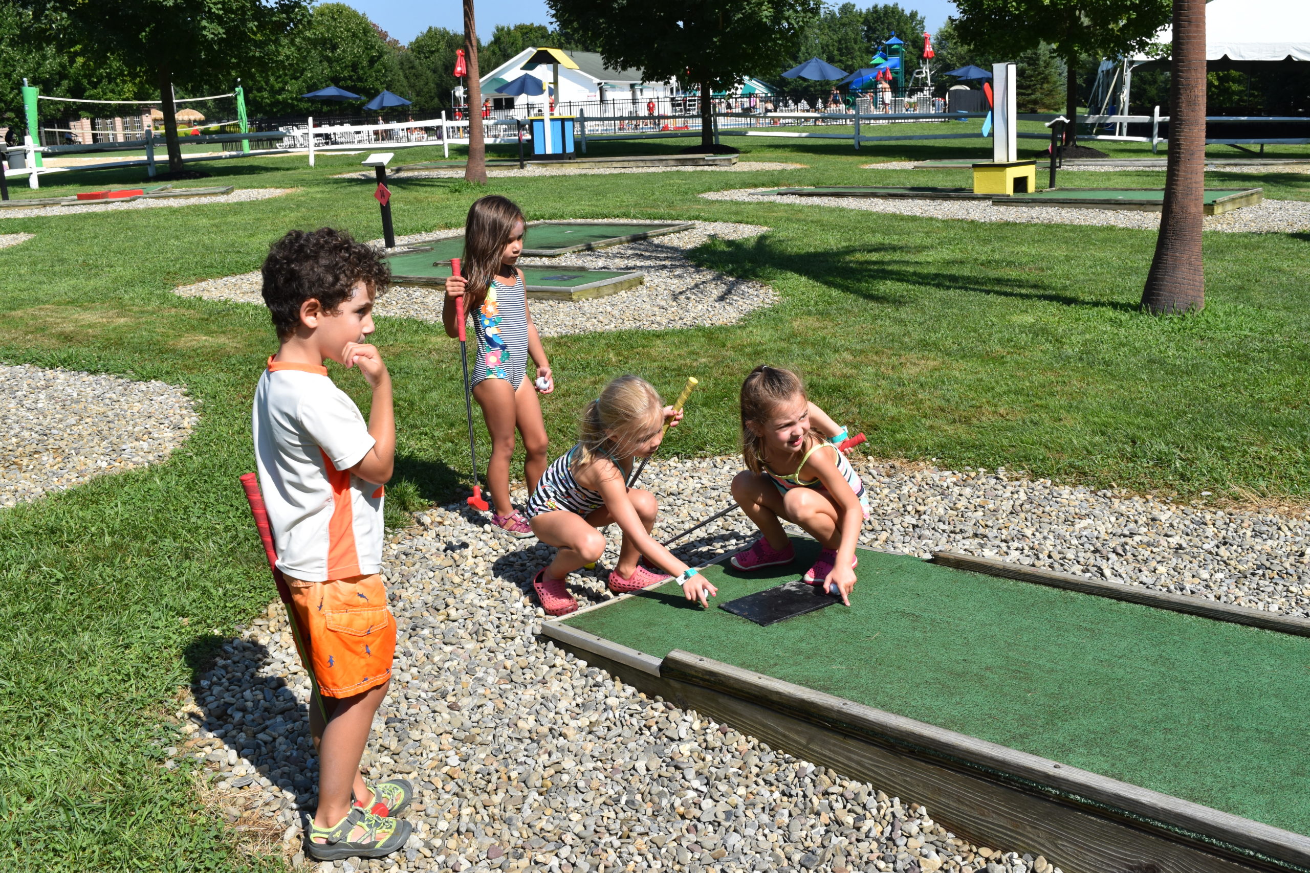 Summer Day Camp Near Colts Neck, NJ | Frogbridge Day Camp